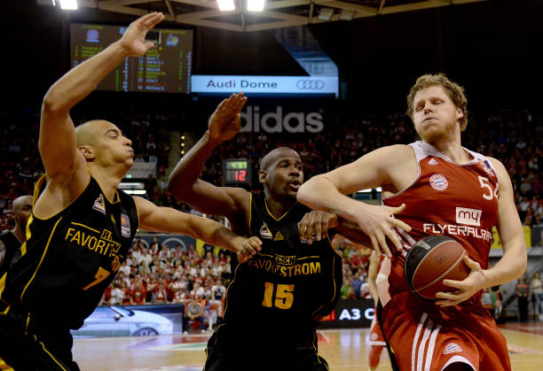 与此前费鸟 与此前费鸟